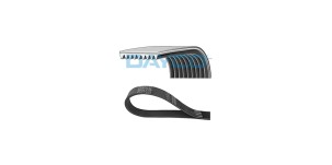 Polyrib_Belt_Ropa_226005200